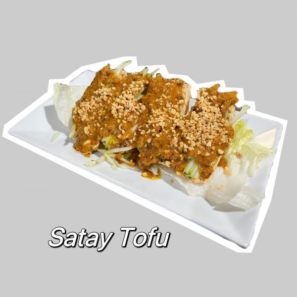 Satay Tofu (4)