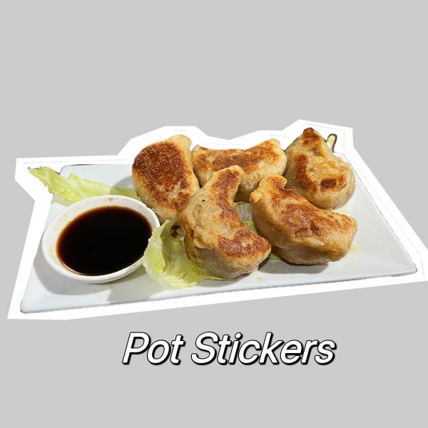 Pork Pot Stickers (5)